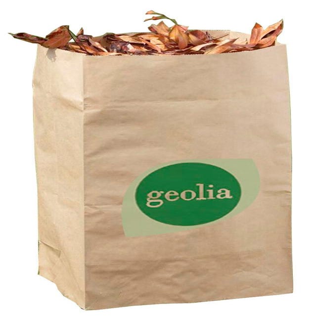 Lot de 5 sacs papier compostable GEOLIA 100 l