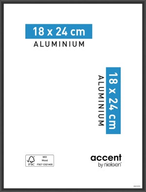 Cadre photo A3 couleur bleu  Aluminum brossé - LA CADRERIE