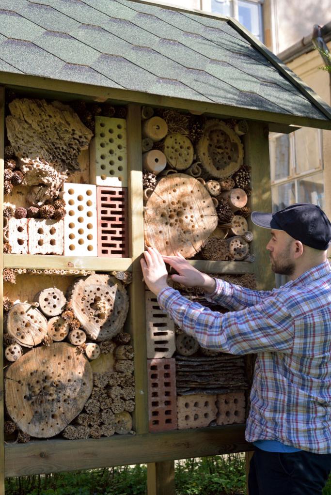 Atelier Adulte Et ou Enfant R aliser Une Maison Insectes G ant 3h 