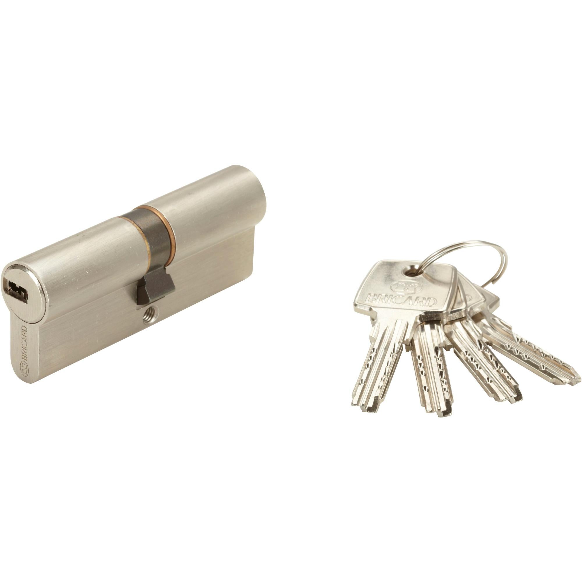 Vachette VIP A2P1* Cylinder With Disengageable Function - View #3