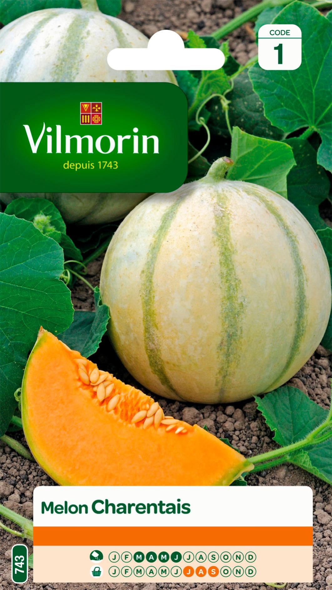 Melon charentais VILMORIN 3 g Leroy Merlin