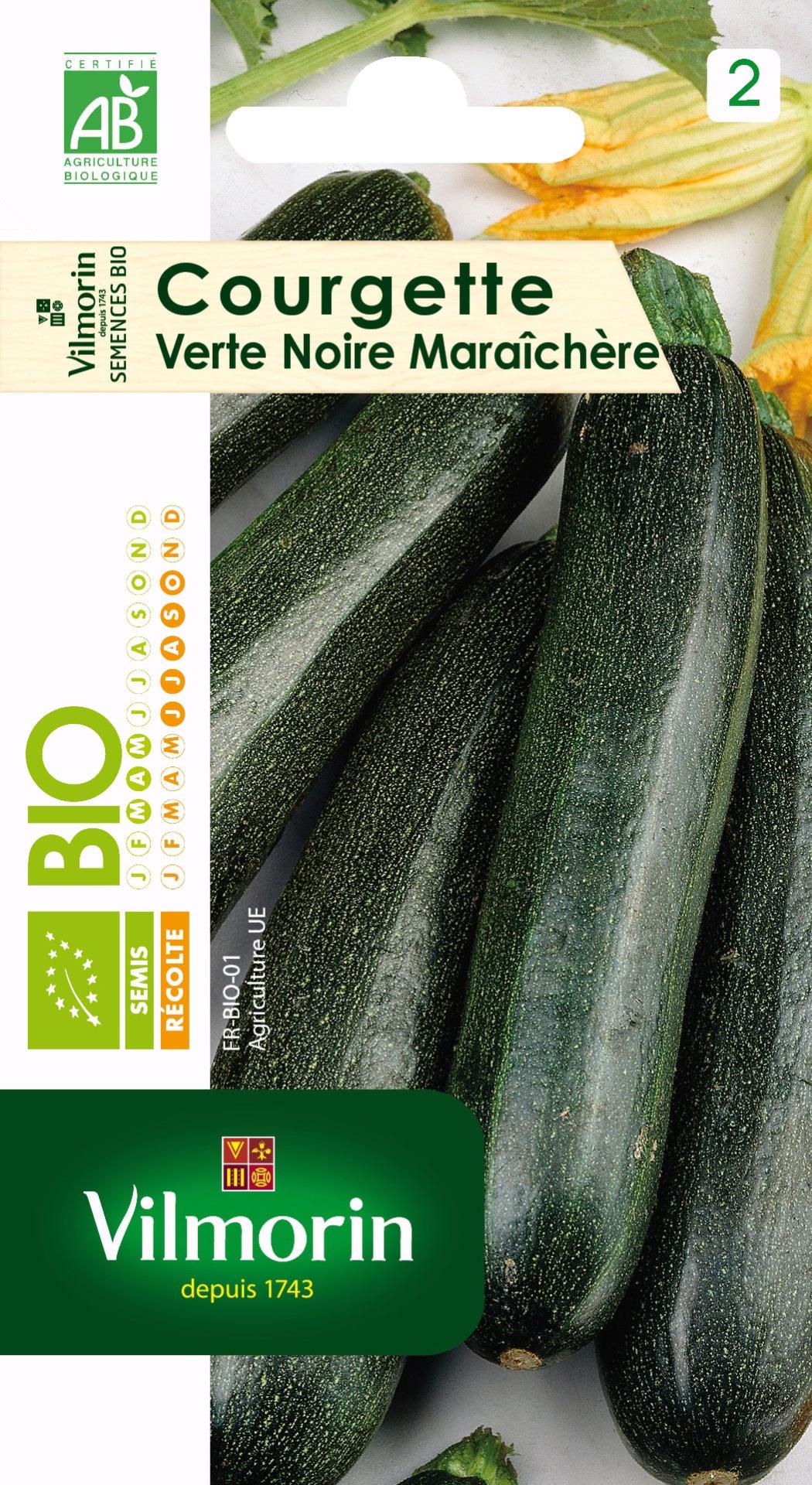 Graines Courgette Verte Noire Maraîchère - Lot De 2 Sachets - Vilmorin