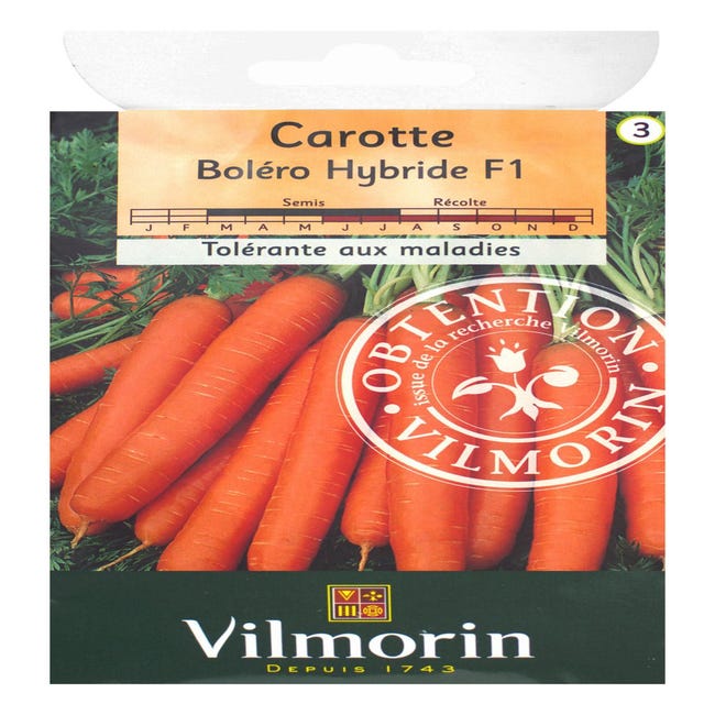 Carotte Boléro F1 - Graines potagères Vilmorin