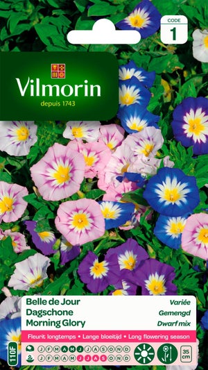 Belle de jour graines de fleurs multicolore | Leroy Merlin