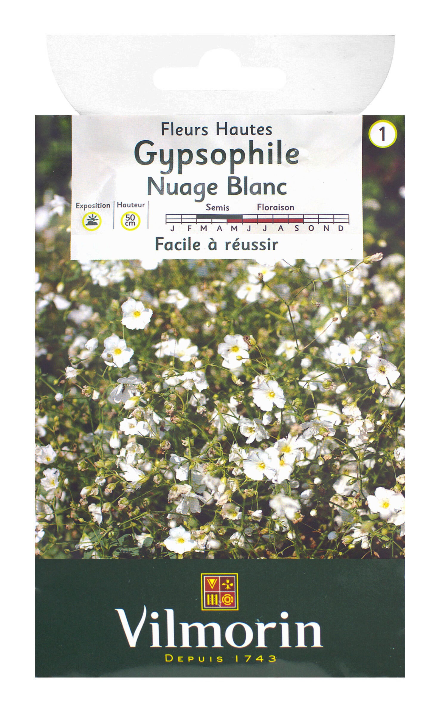 Le Gypsophile à très petites fleurs blanches. Le Gypsophile