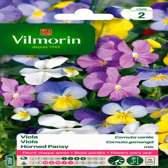 Viola cornuta varié | Leroy Merlin