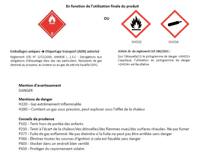 Consigne De Gaz Butane, 6 Kg | Leroy Merlin