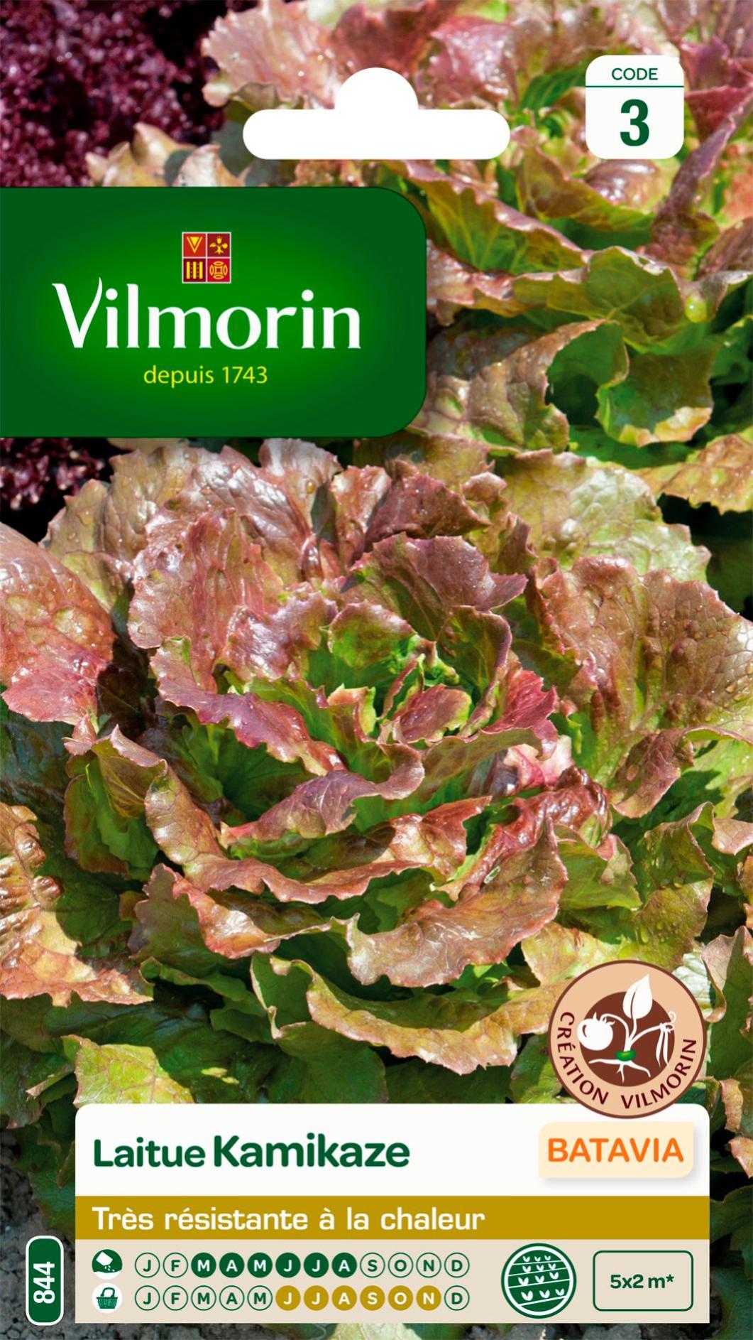 Graine aromatique thym de provence bio VILMORIN 0.5 g