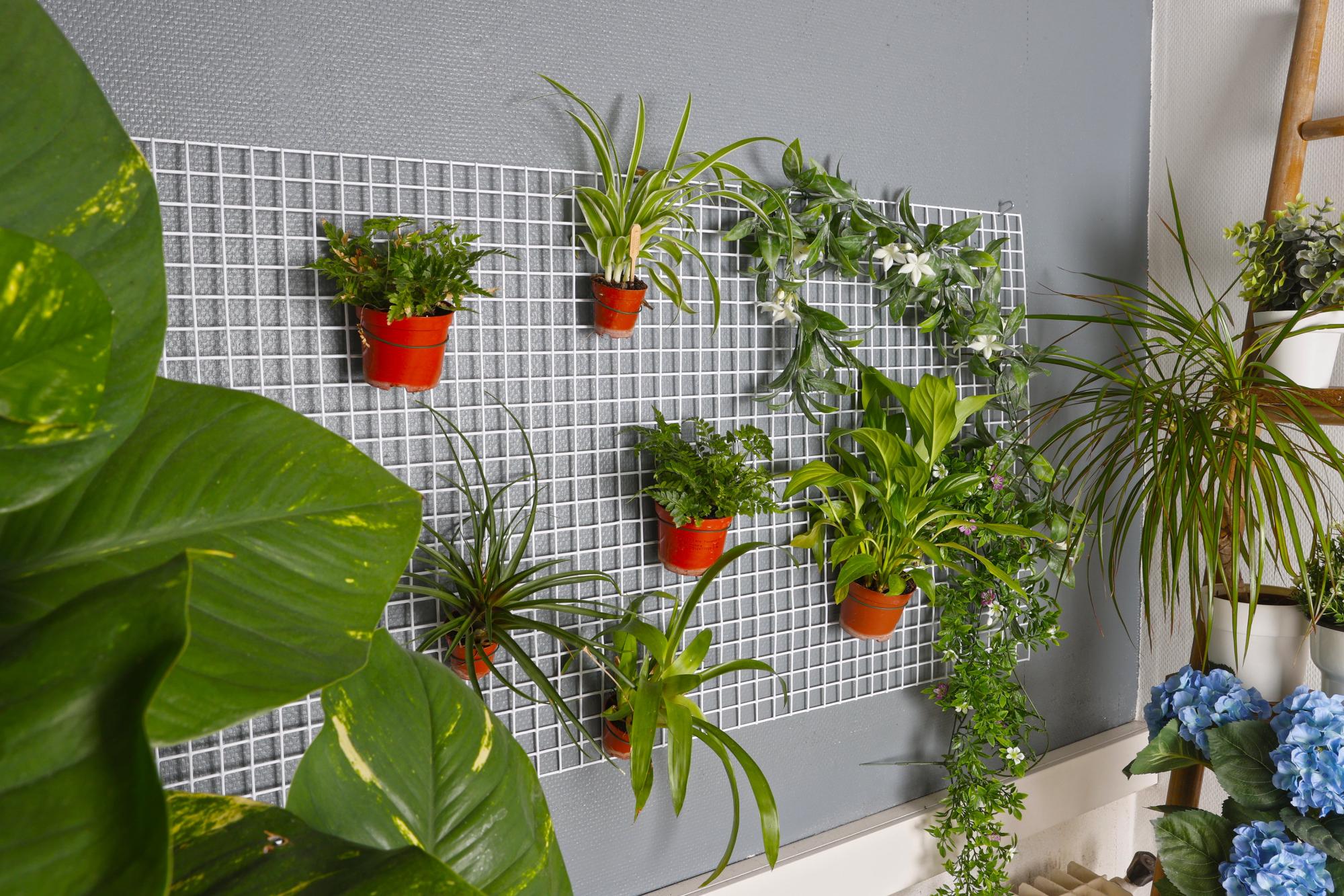 Panneau treillis métal blanc, maille 25mm, H.120cm x l.60cm, Ideal