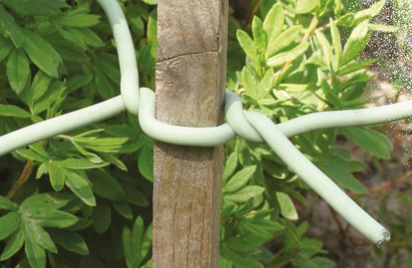 Biflex, lien en mousse pour plantes fragiles - Nortene