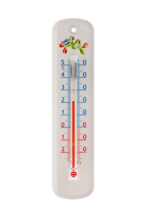 Thermomètre extérieur décoratif