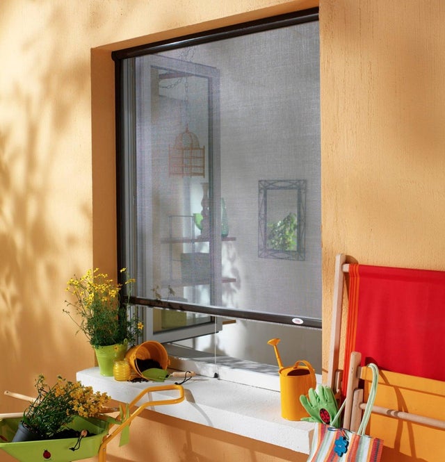 Moustiquaire enrouleur de fenêtre aluminium gris anthracite - Provence  Outillage