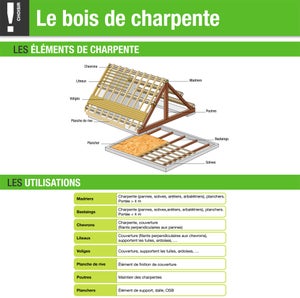 CPBF charpente deux pentes, bois DOUGLAS Français label PEFC (Carport -  Auvent - Abri voiture) 600 cm x 1250 cm, surface 75 m².
