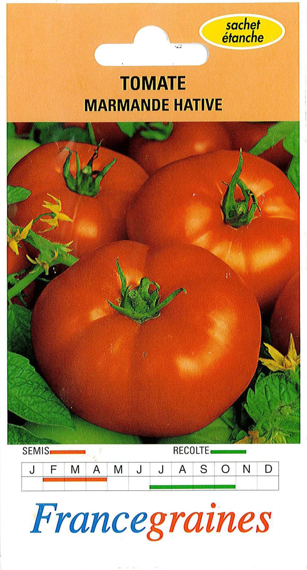 La tomate marmande d'antan