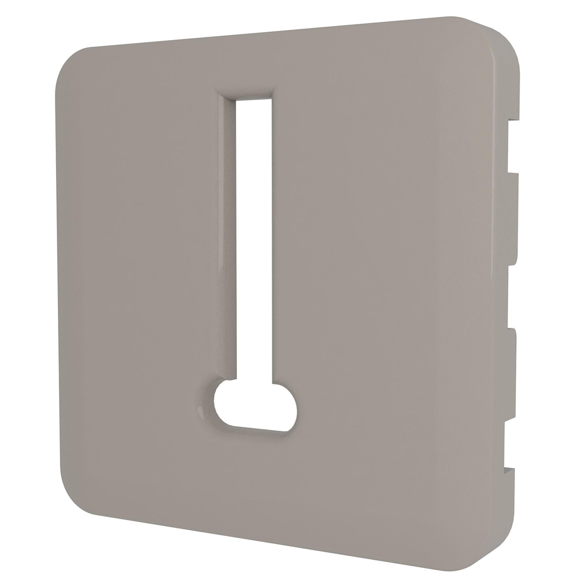 Cache prise téléphone Cosy, LEXMAN gris doré n°6 mat Leroy Merlin