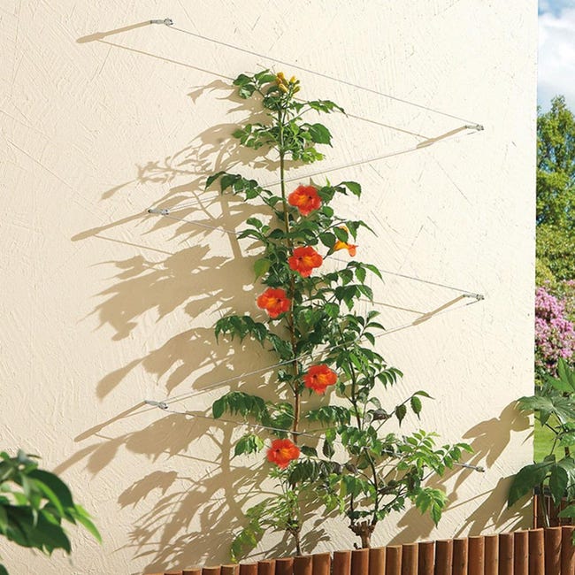 Kit palissage plantes grimpantes 10 mètres - Jardin et Saisons