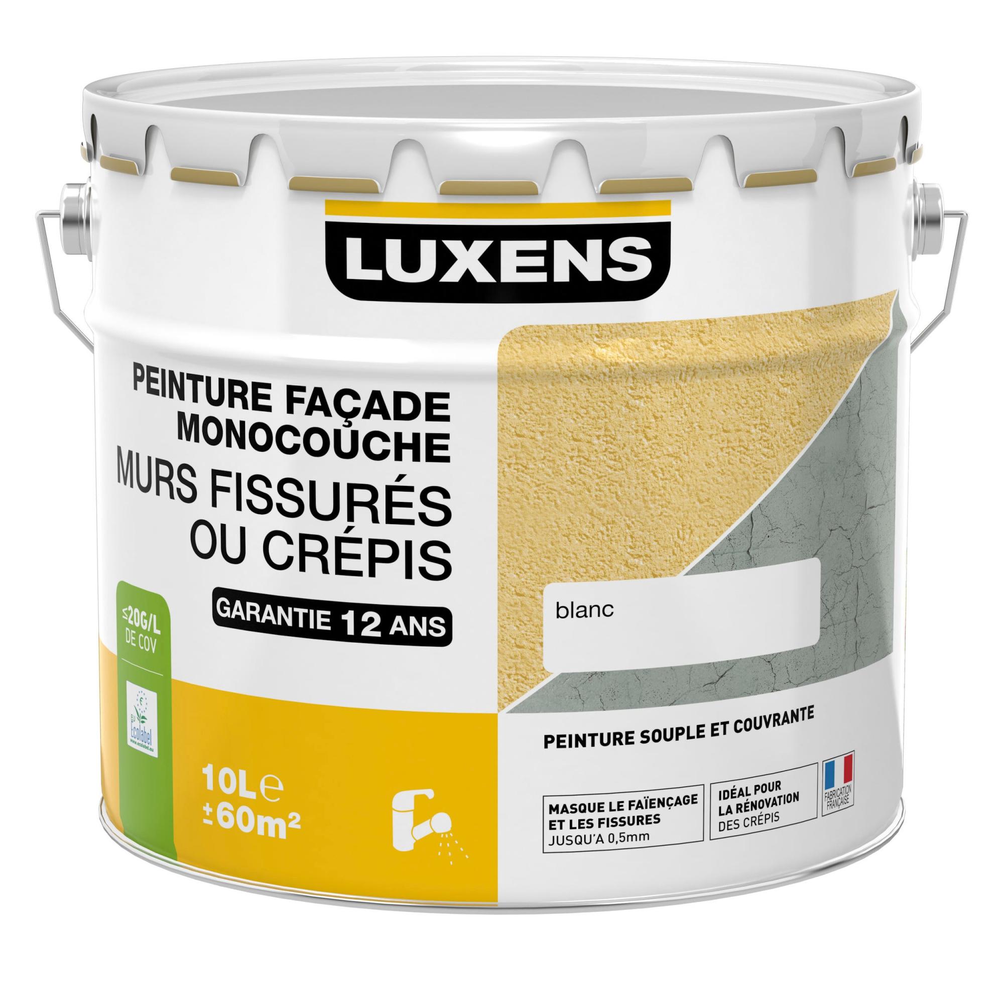Peinture façade Murs fissurés LUXENS, pierre, 10 l Leroy Merlin