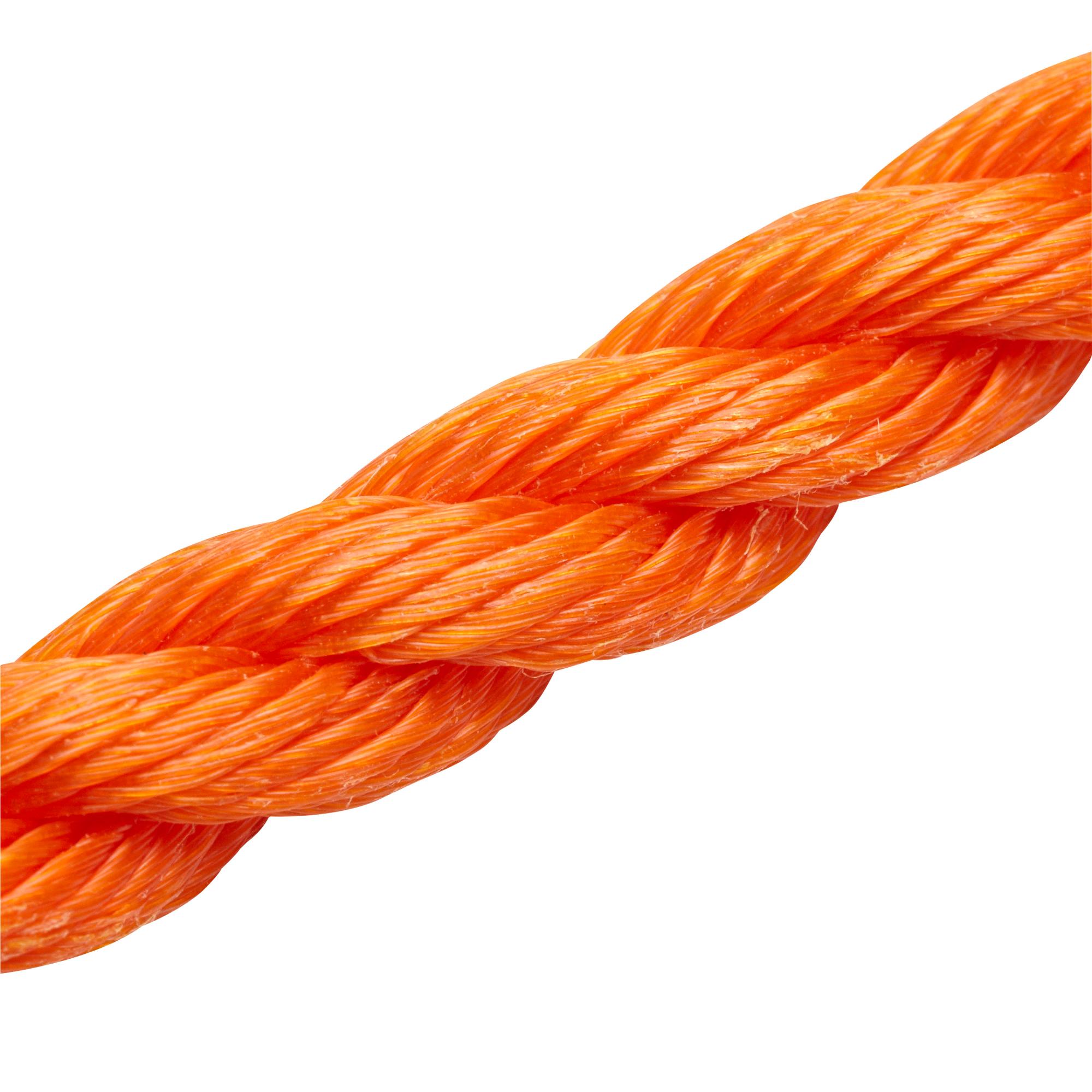 Corde En Polypropylène Torsadée, Jaune, 1/2" X 50' De KINGCORD