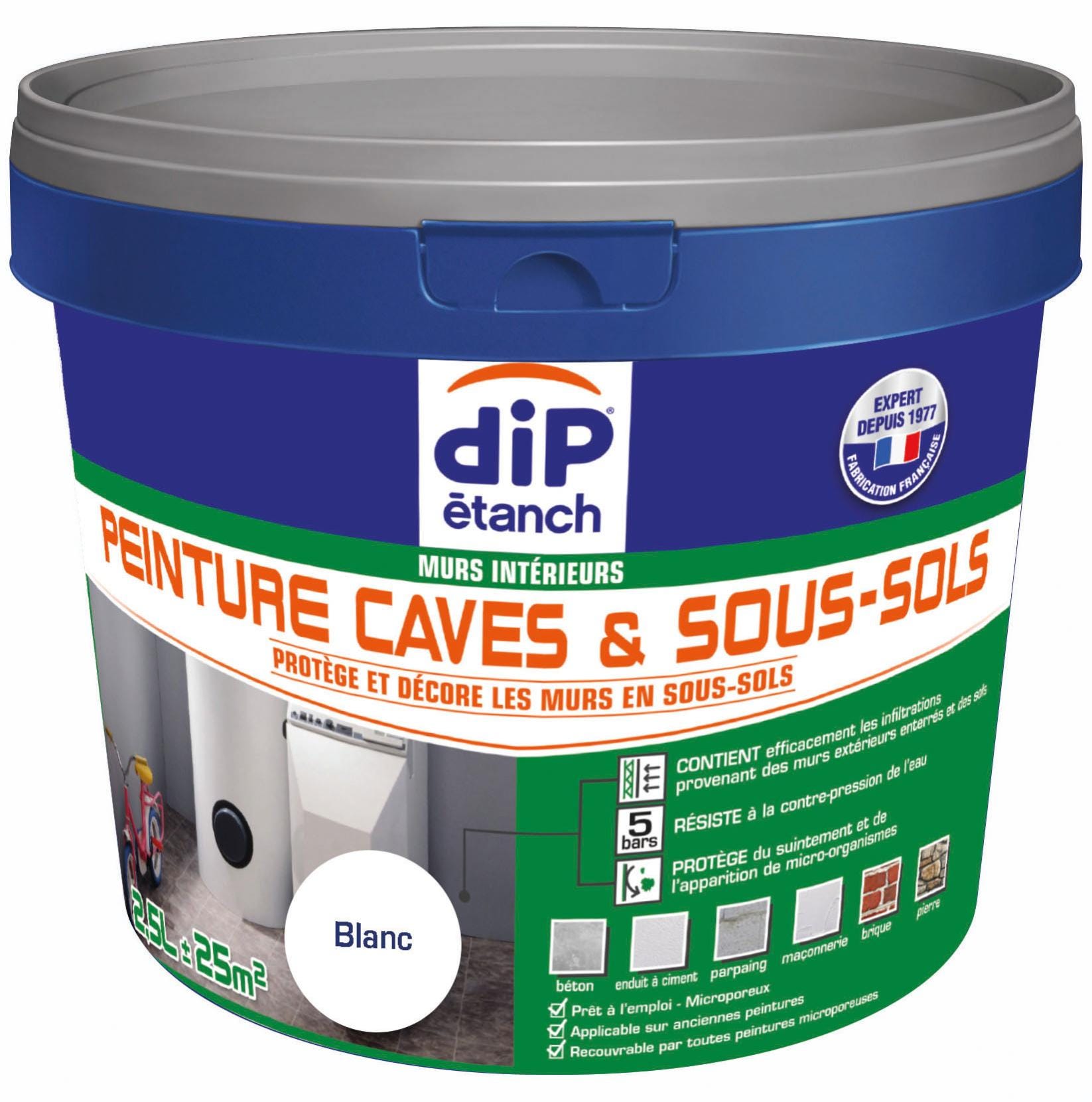 Peinture Cave Et Sol Peinture Cave Sous sol DIP Blanc 2 5 L Leroy peinture-cave-et-sol-peinture-cave-sous-sol-dip-blanc-2-5-l-leroy
