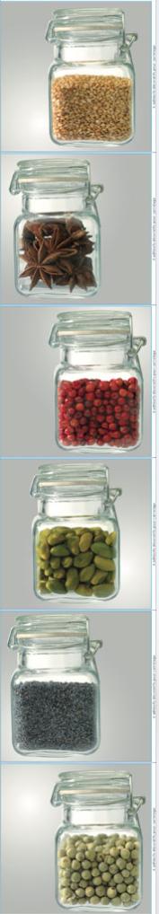 Lot de 12 pots d'épices couvercle avec cuillère Oze H13cm Verre Transparent