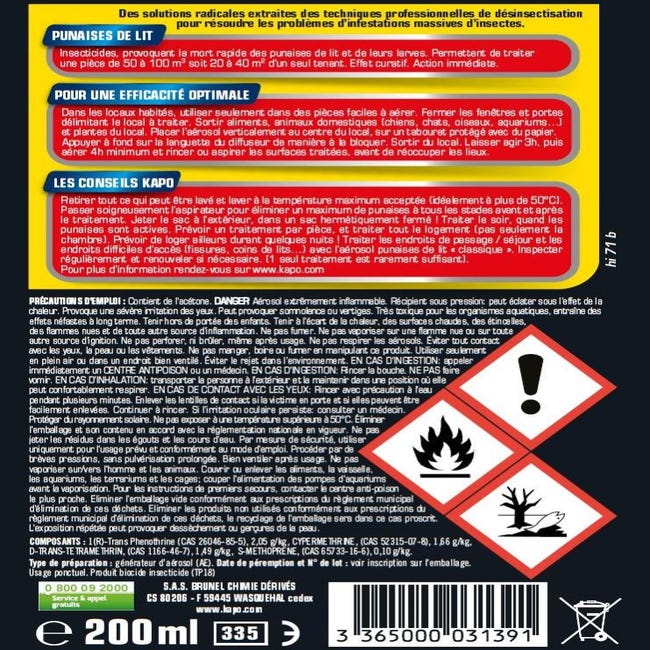 Aérosol choc punaise de lit 400 ml KAPO, 1370343, Peinture et droguerie