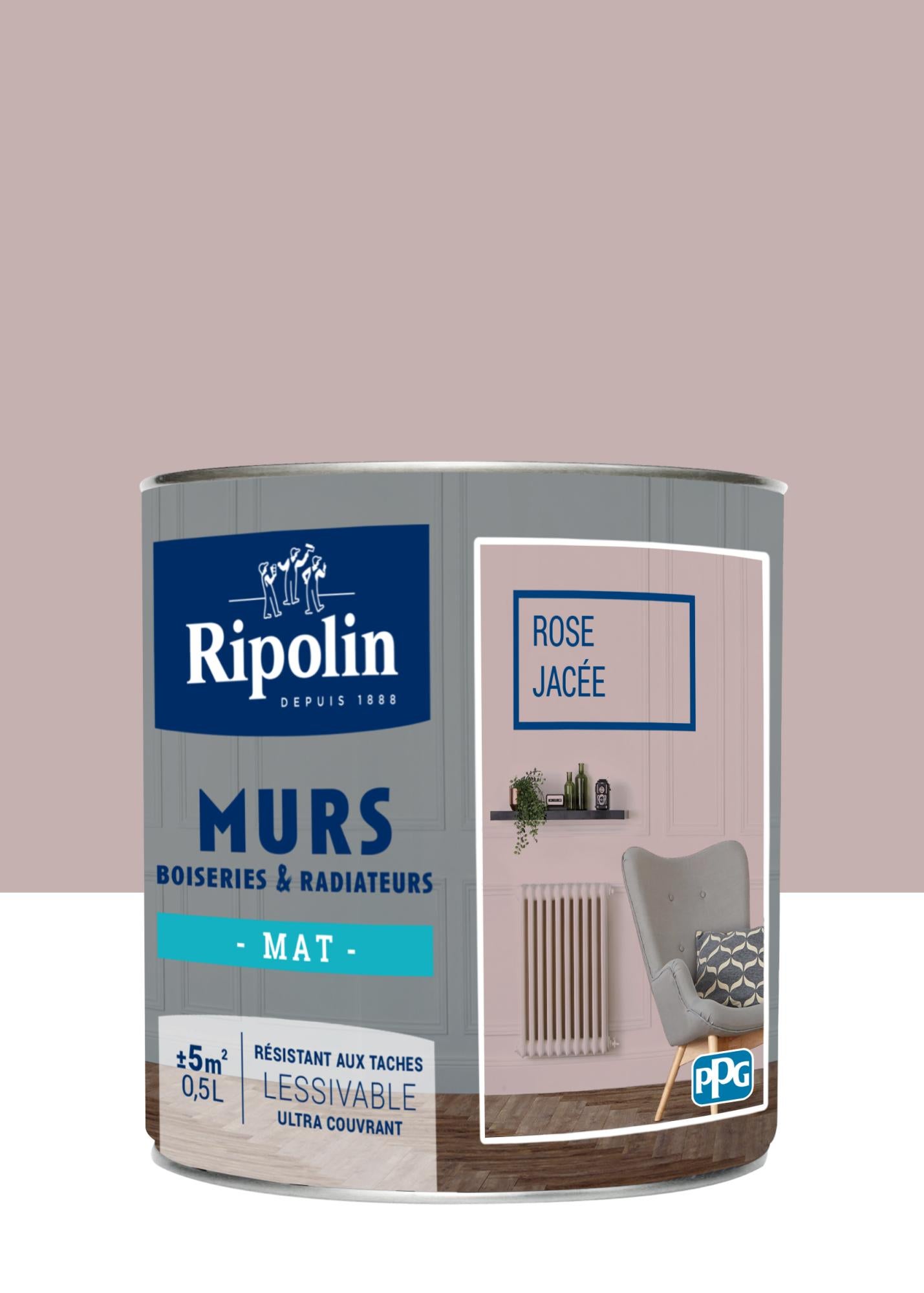 Peinture Mate RIPOLIN Chambre D'enfants Blanc Pas Cher