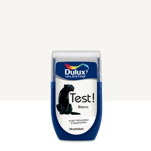 Peinture baignoire blanc satin DULUX VALENTINE Color resist 2l