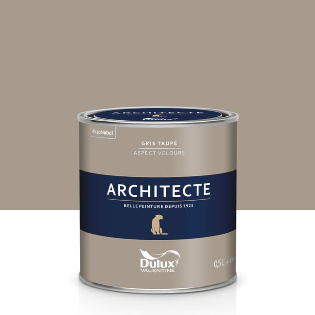 Peinture gris taupe acrylique