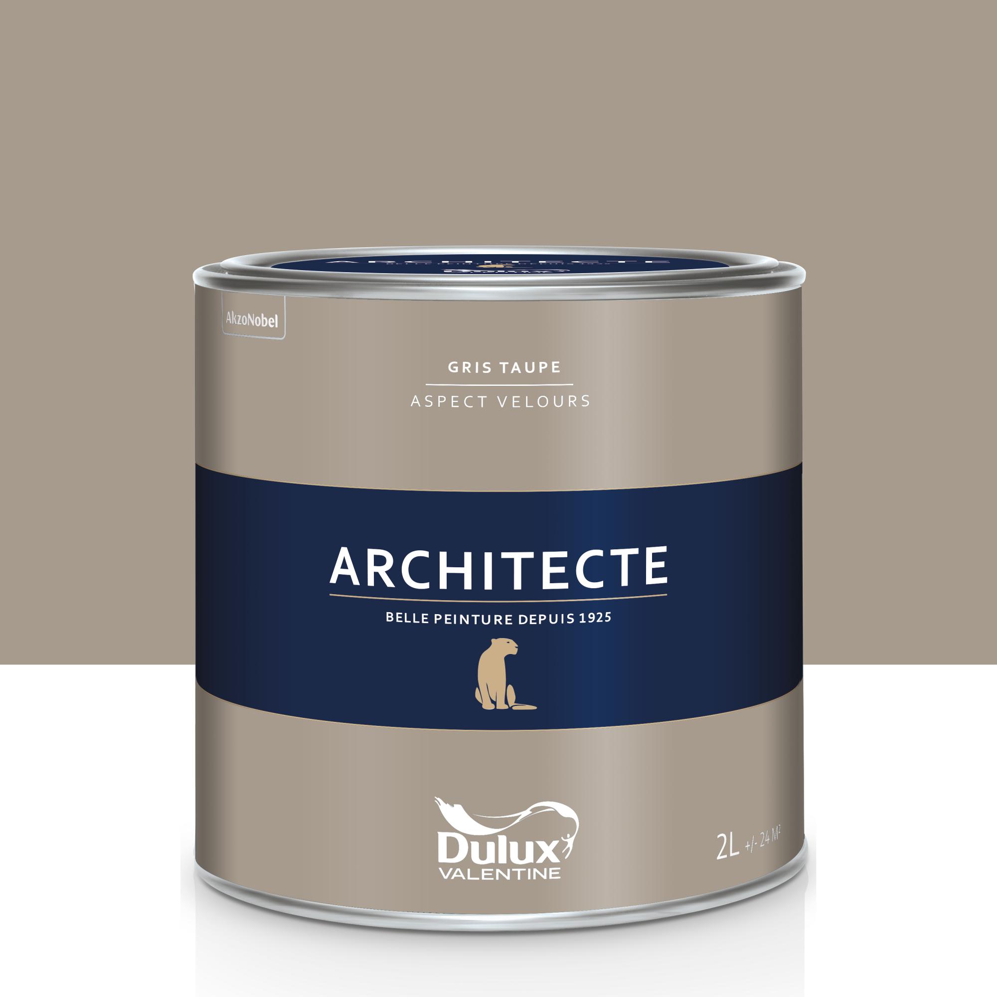 Peinture gris taupe velours DULUX VALENTINE Architecte 2 l Leroy Merlin