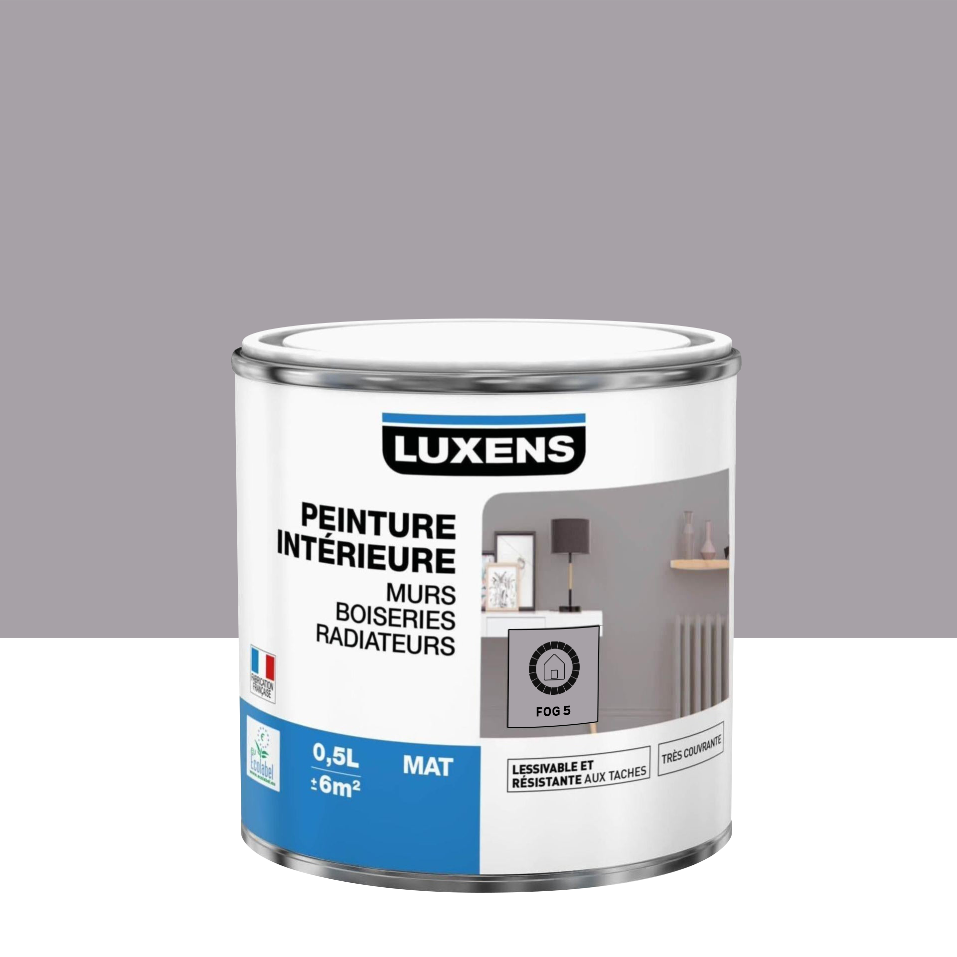 Peinture mur, boiserie, radiateur Multisupports LUXENS noir mat 0.5 l