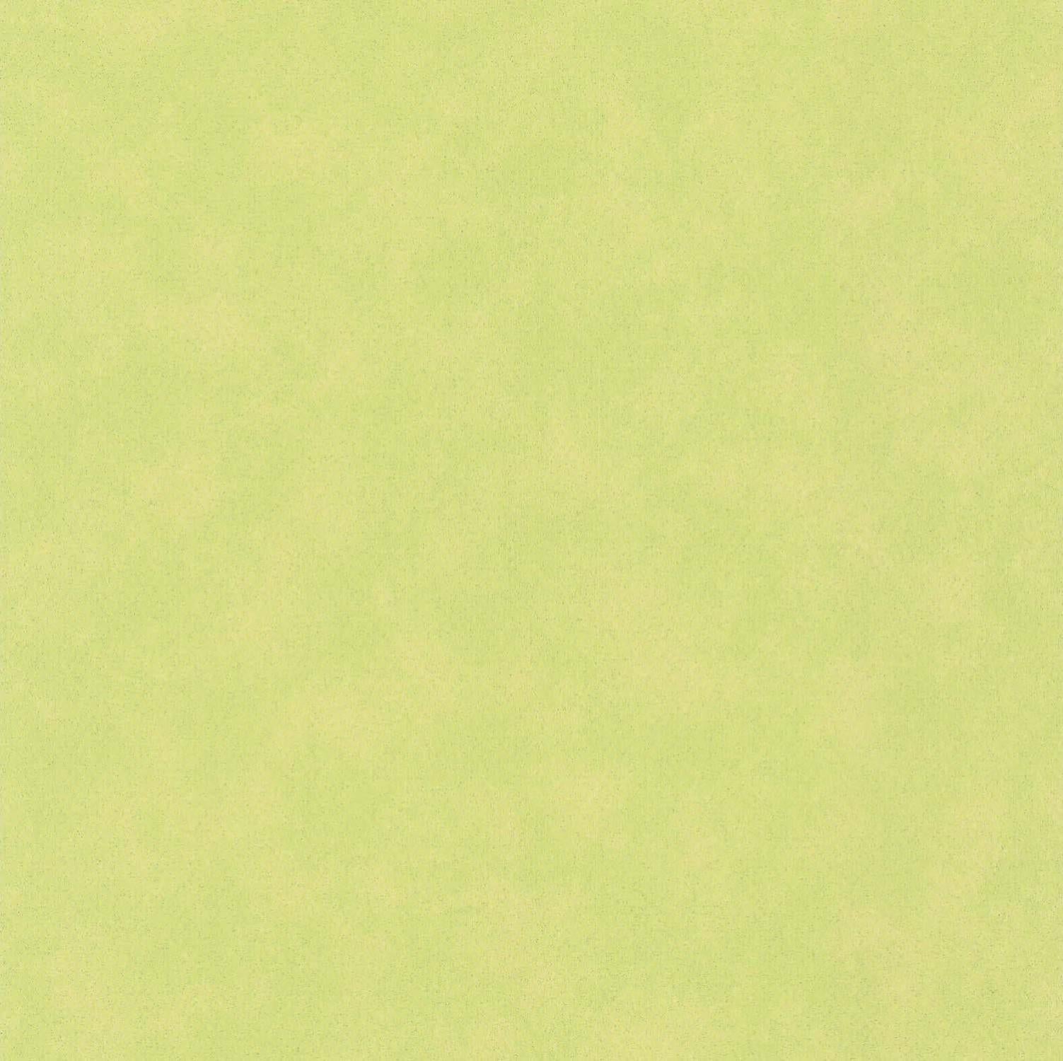 Papier peint expansé Uni Picot vert | Leroy Merlin