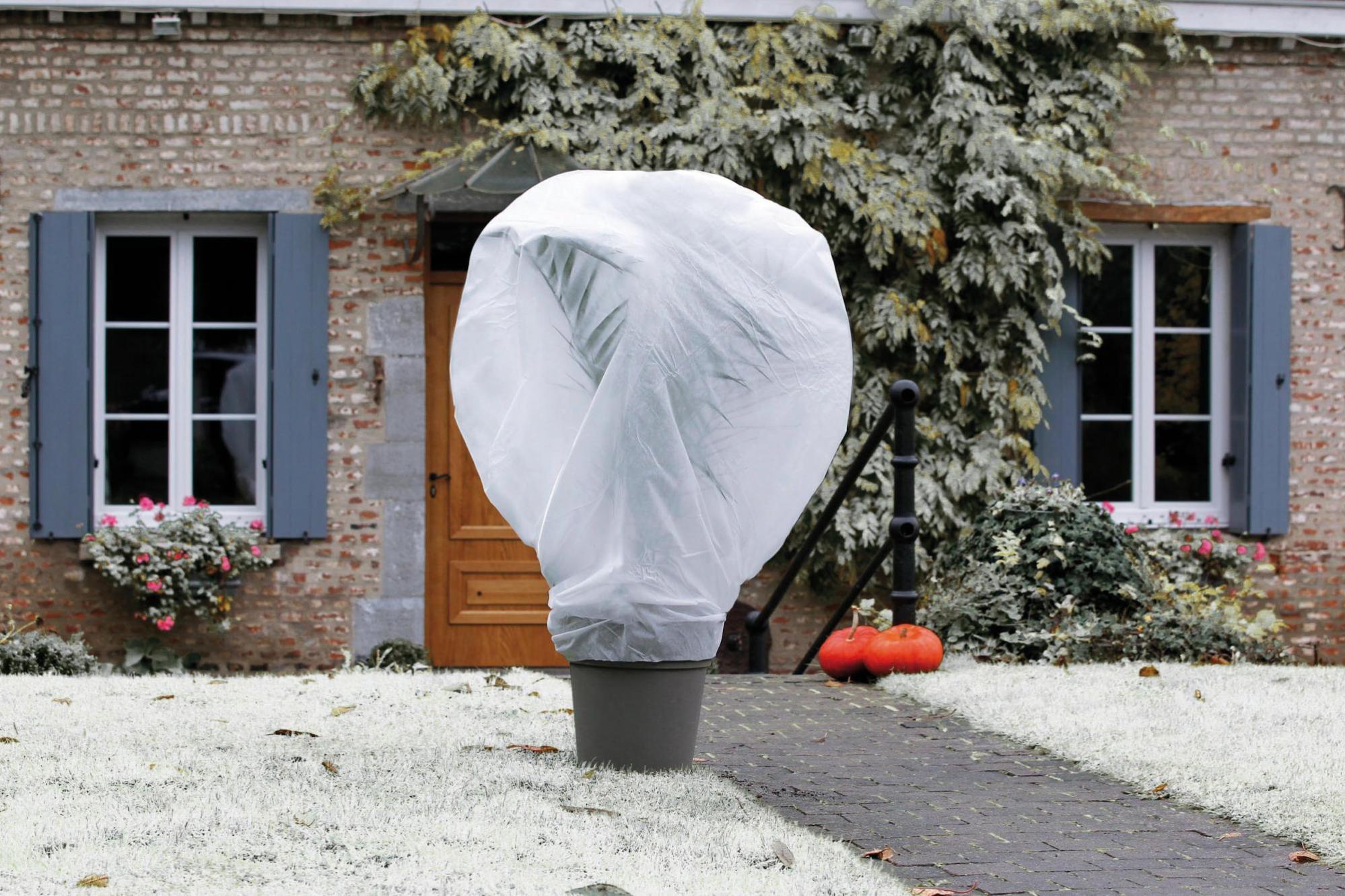 Voile d'hivernage - blanc - 30 g/m² - 1 x 20 m