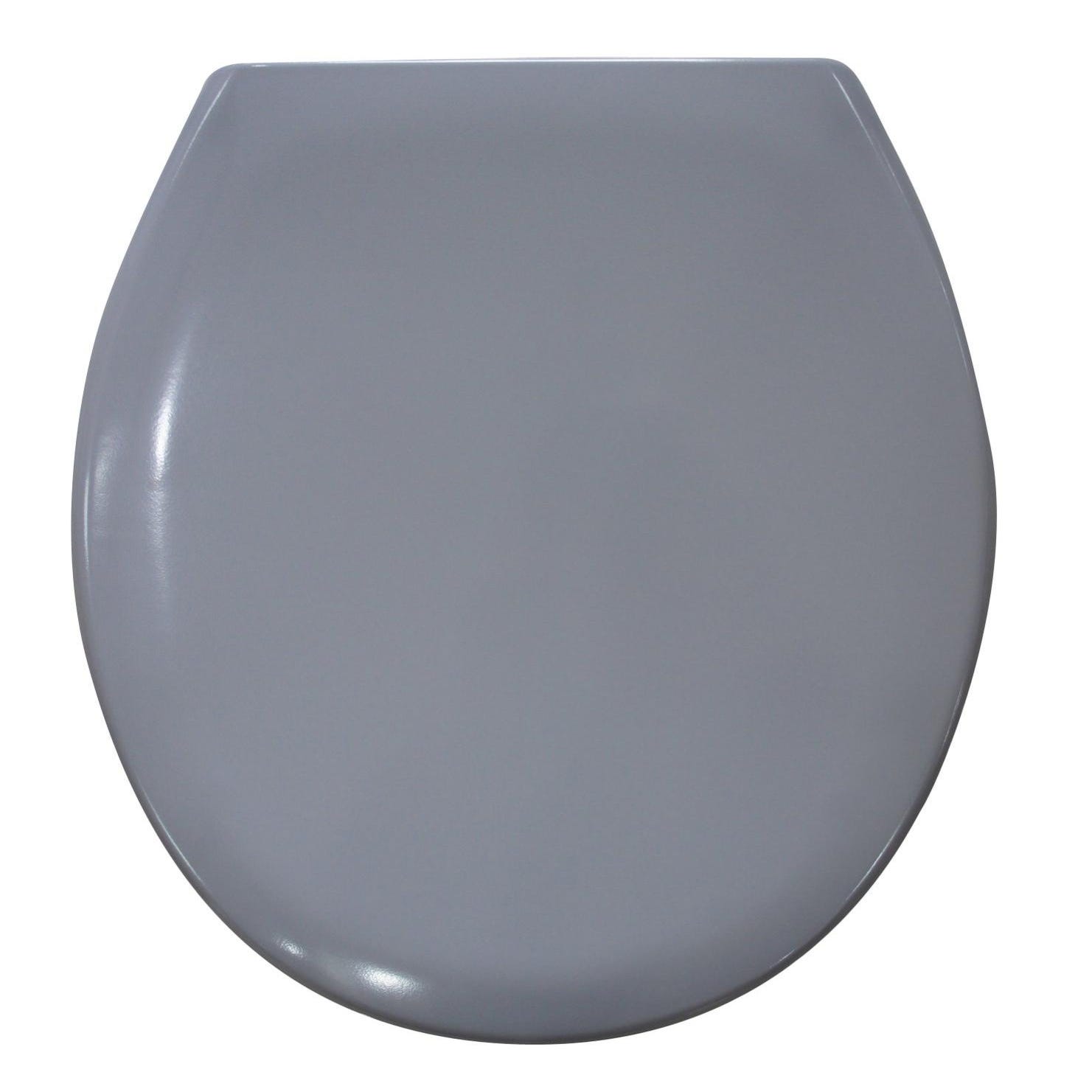 Abattant WC Thermodur Fast Clip 2 à frein + clipsable Blanc - MTK -  Mr.Bricolage
