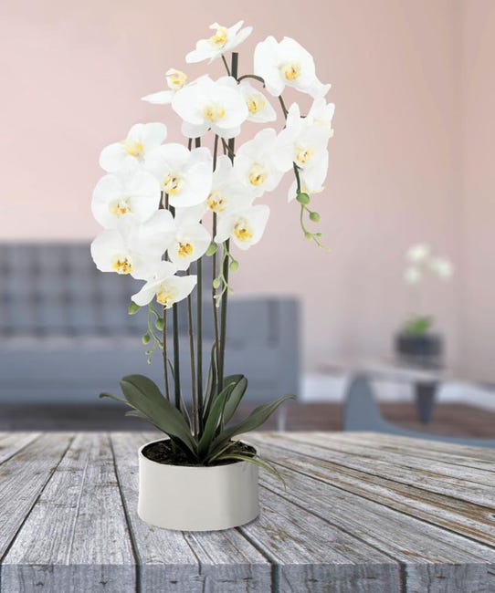 Orchidée artificielle blanche en coupe céramique H70 cm, Ligne Déco | Leroy  Merlin