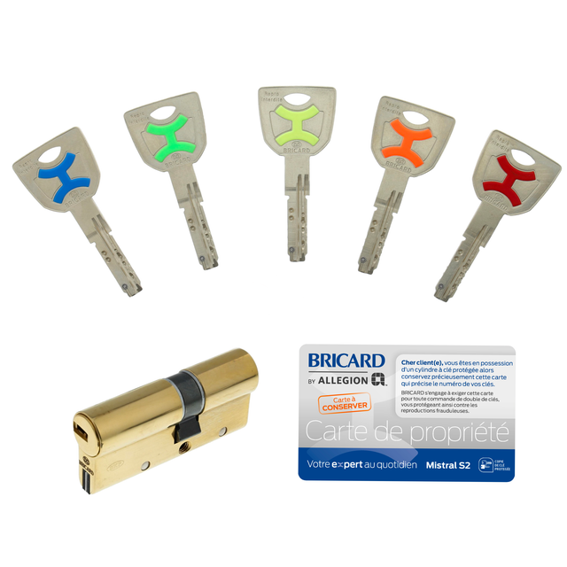 Cylindre Bricard Astral à bouton 30 x 30 mm