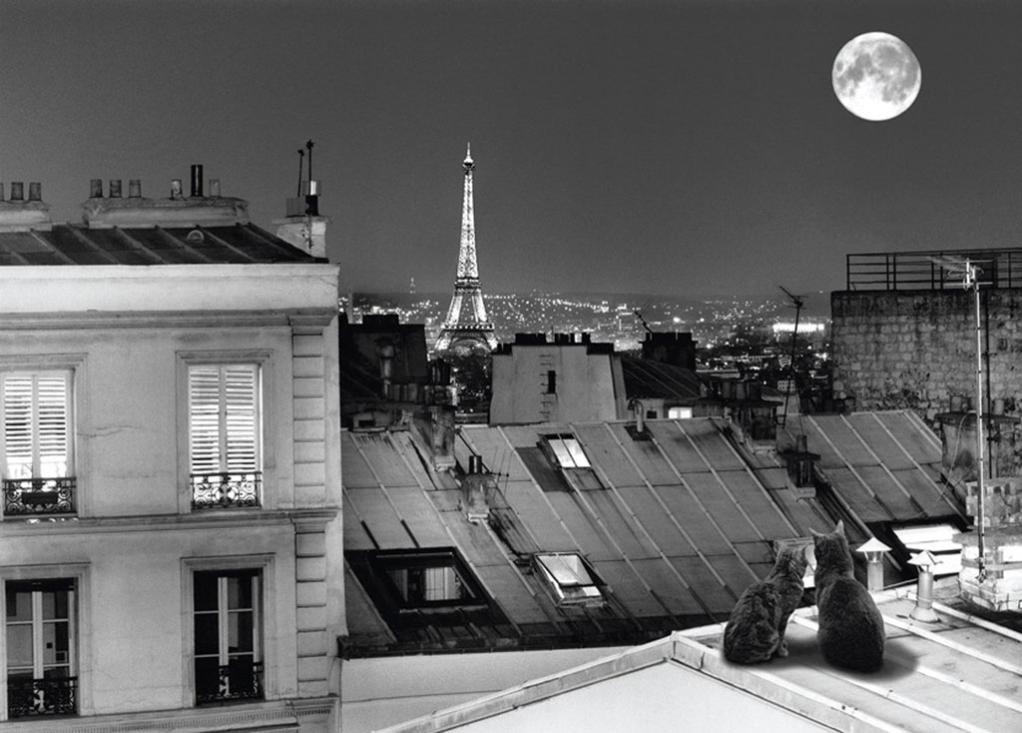 Affiche La Tour Eiffel Vue Des Toits De Paris Noir Blanc L 70 X H 50 Cm Leroy Merlin