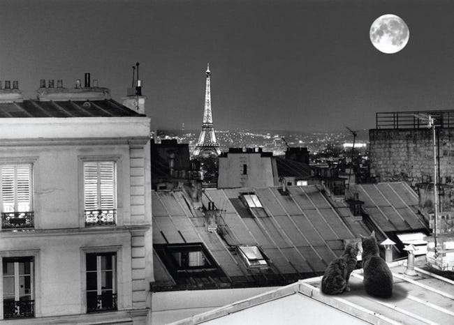 Affiche La Tour Eiffel Vue Des Toits De Paris Noir Blanc L 70 X H 50 Cm Leroy Merlin Affiche La Tour Eiffel Vue Des Toits De Paris Noir Blanc L 70 X H 50 Cm Leroy Merlin