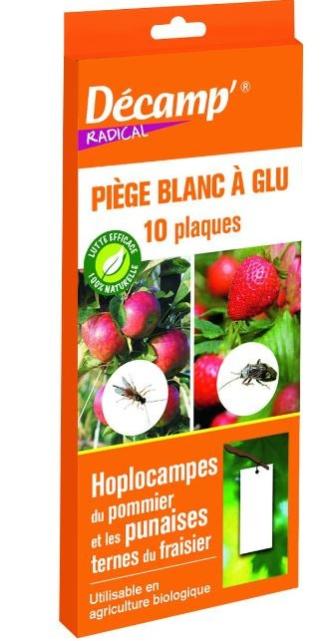 Piège écologique Punaises De Lit Terra Nostra - Lot De 5 Plaques Attractives, Sans Insecticide, Fabriqué En UE