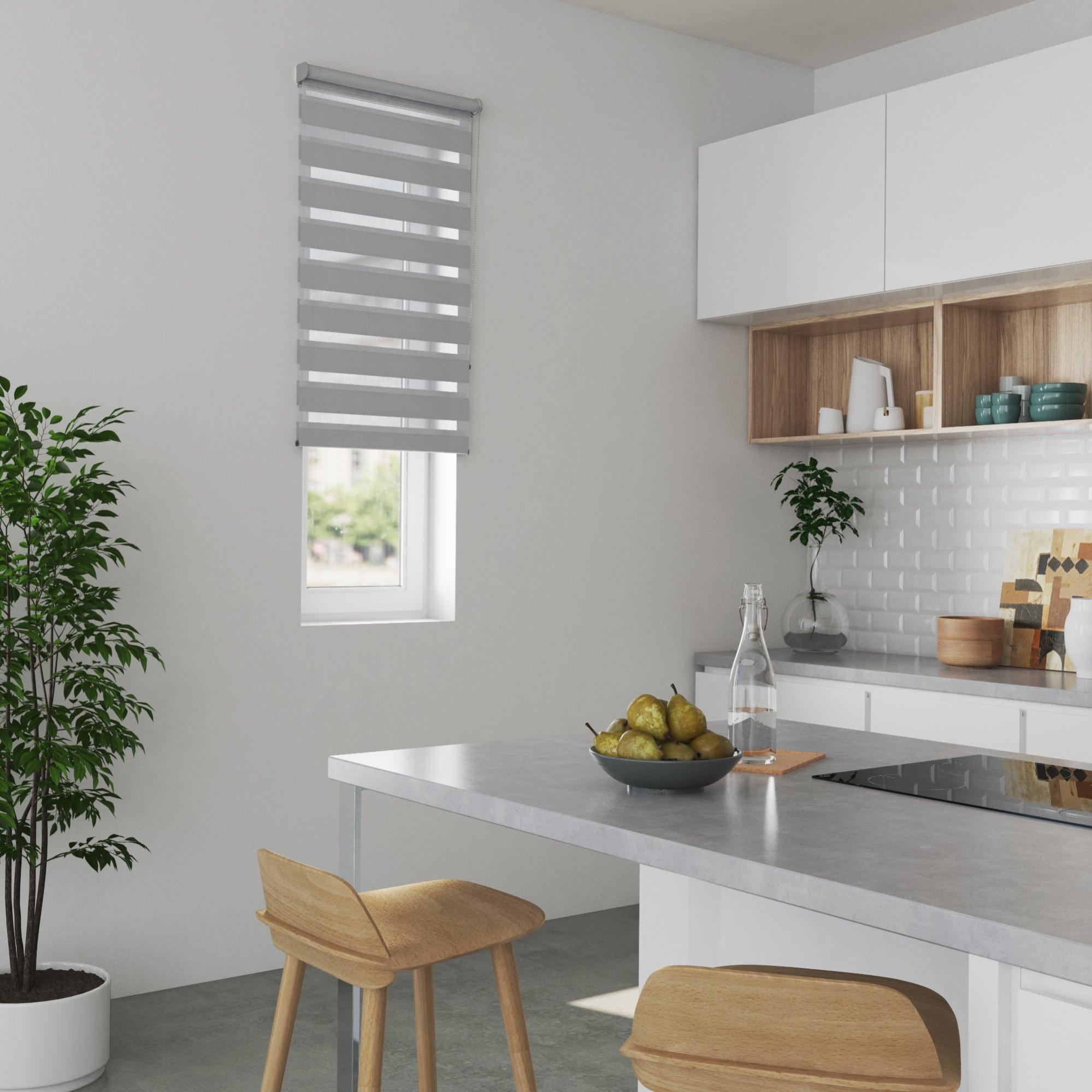 Store enrouleur jour/nuit Québec gris clair, l.65 x H.160 cm, INSPIRE