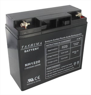 Batterie 12V 28AH, avec acide, prête à l'emploi, + à Gauche (NB : qté mini  : 4 panaché avec 172128)