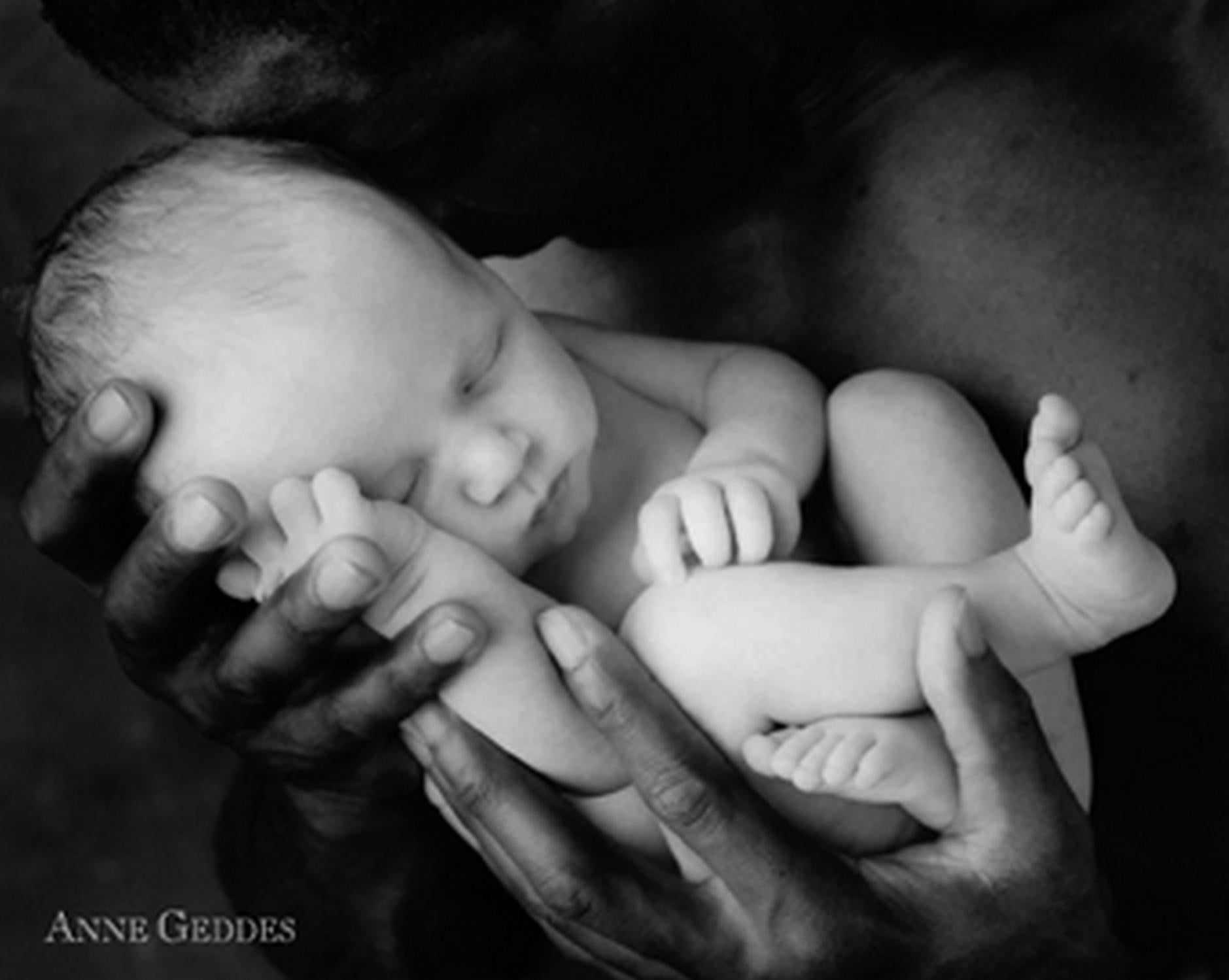 Affiche Anne Geddes b b dans bras noir blanc l.50 x H.40 cm