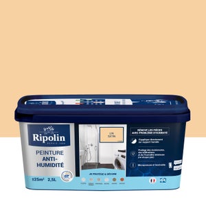 Peinture anti-humidité blanc satin RIPOLIN Dip etanch 10l
