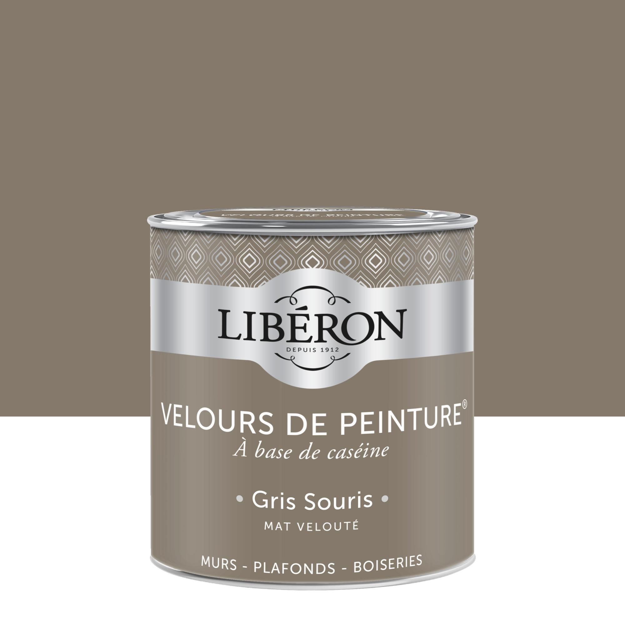 Peinture gris souris mur, boiserie, radiateur LIBÉRON velours 0.5 l Leroy Merlin