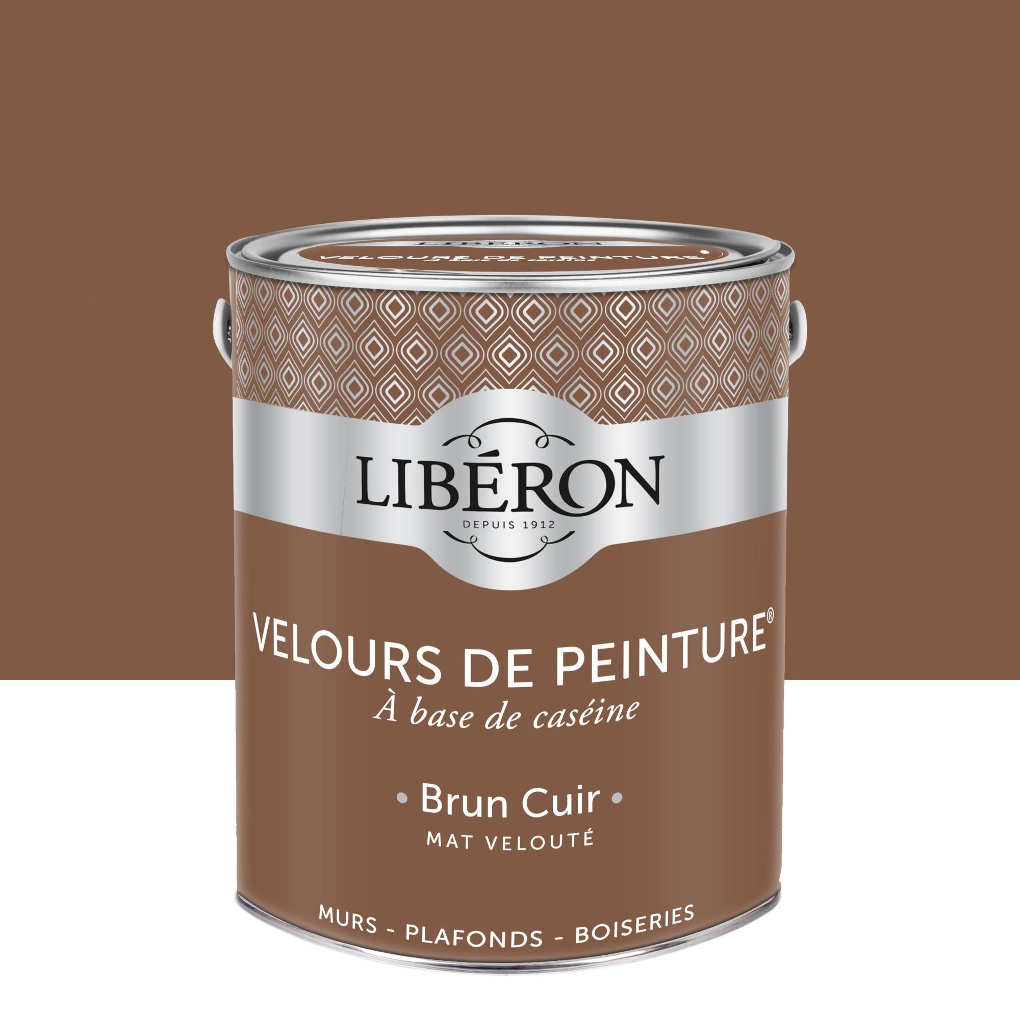Peinture brun mur, boiserie, radiateur LIBÉRON velours 2.5 l Leroy Merlin — free download