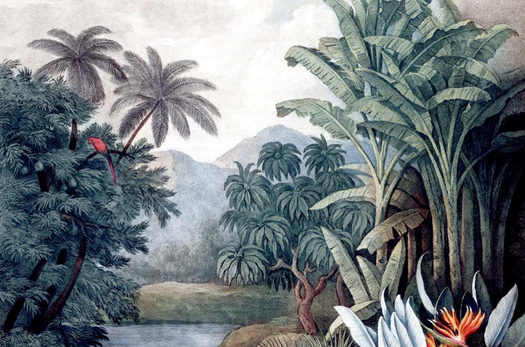 Toile à suspendre Végétation tropicale, multicolore ARTIS l.97 x H.65 cm