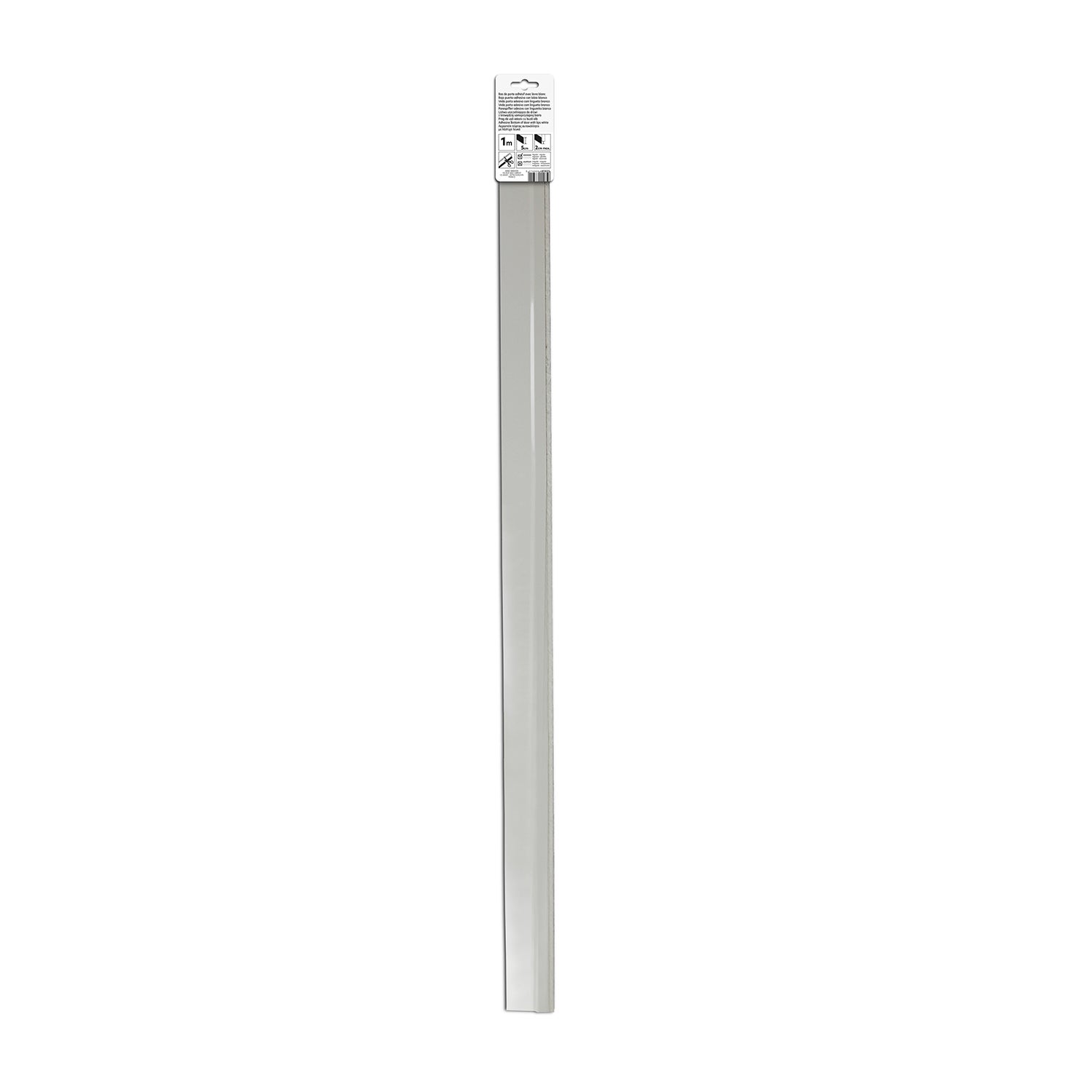 Bas de porte adhésif brosse AXTON, L.100 cm blanc