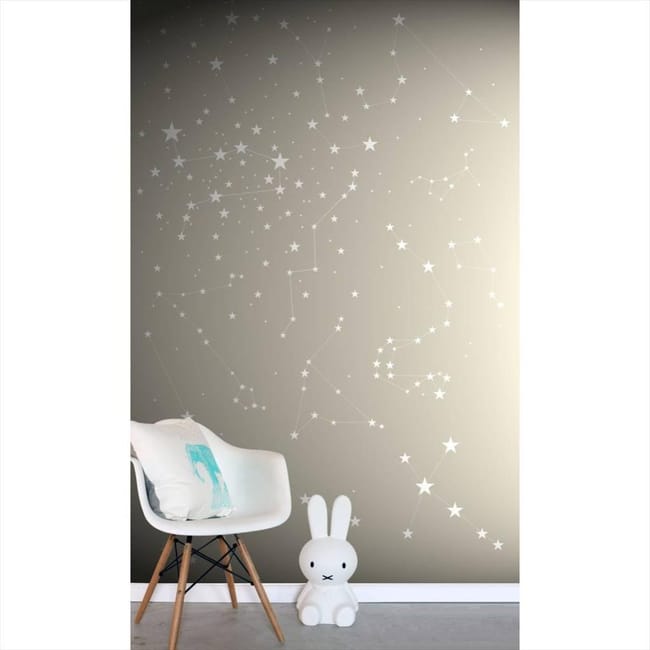 Papier Peint Panoramique Estahome Papier Peint Mural A Motid D Taupe Intisse Leroy Merlin Papier Peint Panoramique Estahome Papier Peint Mural A Motid D Taupe Intisse Leroy Merlin