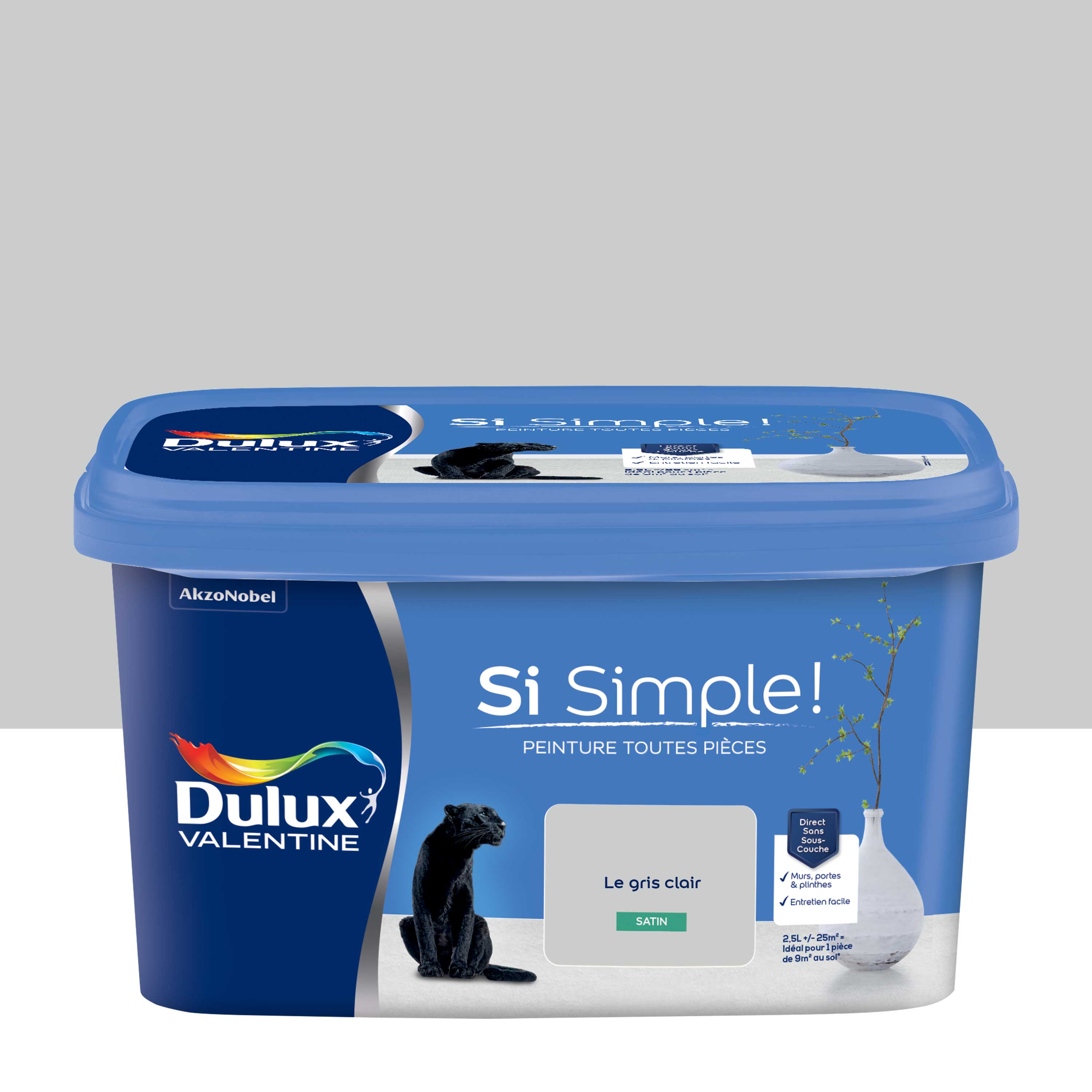Peinture mur gris clair satin DULUX VALENTINE Si simple ! 2.5l | Leroy