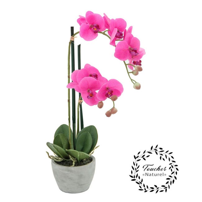 Paris Prix - Plante Artificielle En Pot orchidée 57cm Rose à Prix  Carrefour