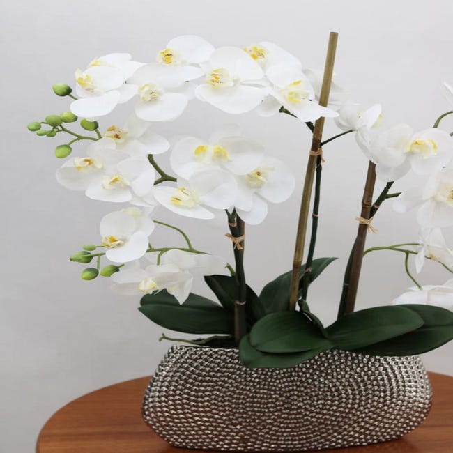ORCHID Orchidée en pot blanc Long. 68 cm - Ø 19 cm